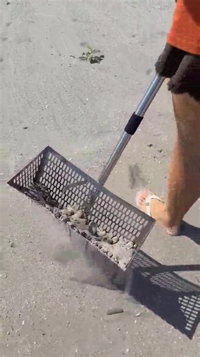 Find Treasure On Beach #⛱️🏖️ #latenightneville #teamwork #gardening #decorativeitems #setcompletion #illustration #treasurehunting Pencel Drawing | Pencel Drawing