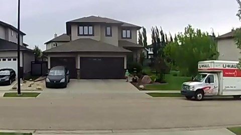 Surveillance video captured canine attack