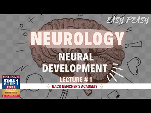 Neural Development | Neurology # 1 | First Aid USMLE Step 1
