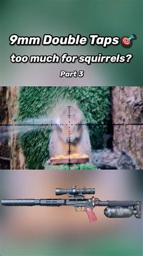 The goal of double tapping a squirrel...