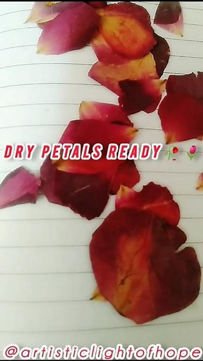 How to dry rose petals at home easiest way|🌷how to dry Rose petals quickly🥀|dry rose flowers|#diy