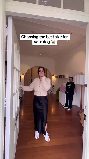 Choosing the Best Size for Your Dog 🐕