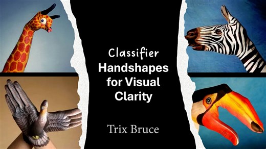 Classifier Handshapes for Visual Clarity