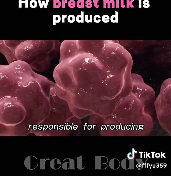 Understanding Breast Milk Production: Process and Benefits