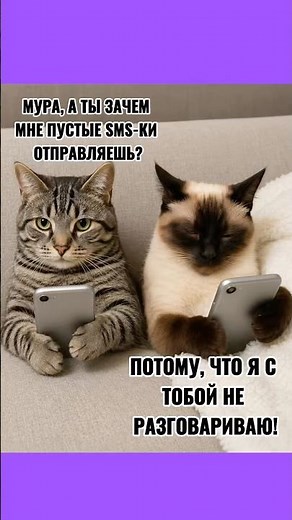 Когда кот обиделся 📱🐱 #мем #прикольныекоты #юмор #видосыоткота #котики #веселыекоты #cat