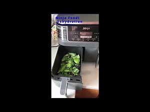 Never Waste Fresh Basil Again With This Ninja Foodi Hack!