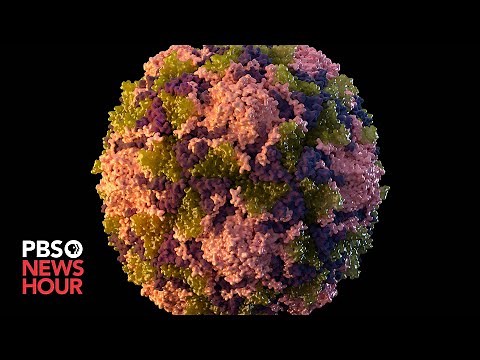 Public health experts sound the alarm as new polio cases emerge