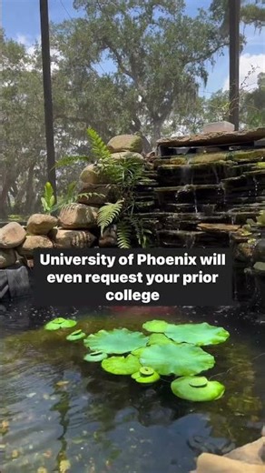 AD | With University of Phoenix you Don't have to go anywhere to go back to school