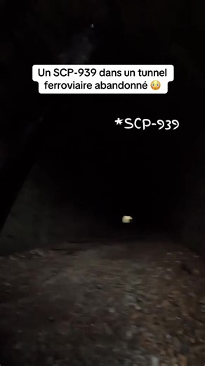 Découverte d'un SCP-939 dans un tunnel abandonné