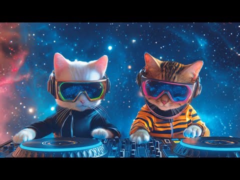 DJ MIAWW Live – Cosmic Chill Beats 👽🎶 | Cat Duo DJing Across the Stars 🚀