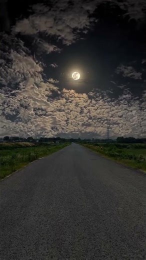 Beautiful nature videos – World's Most Incredible🌆🌆🌆
