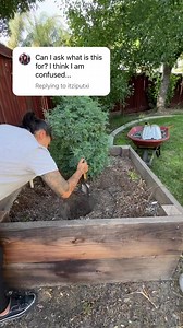 Low maintenance garden ideas. 🌱🪴❤️ | Shirley Denise Moore