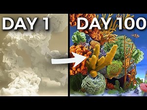 Simulating an Ocean for 100 Days