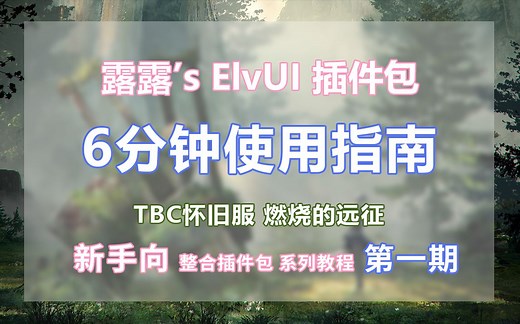 ElvUI快速调整、WA基础知识、单体插件基本设置（露露的魔兽世界插件包，6分钟使用指南，怀旧服WLK/正式服通用教程）