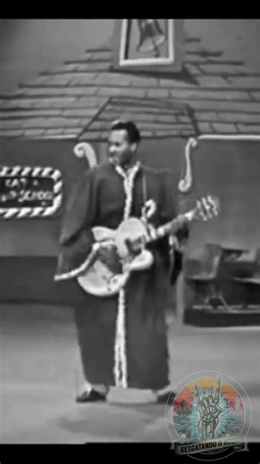 Chuck Berry Sets “School Days” on Fire! 🔥 Classic Rock Energy