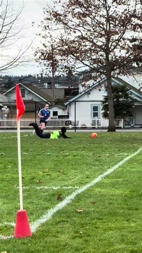 I SCORED😝❤️ #horse #equestrianjourney #hunter #equestrian #horsefan #horsegirl