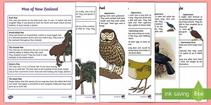 New Zealand Extinct Birds Fact Sheet Pack