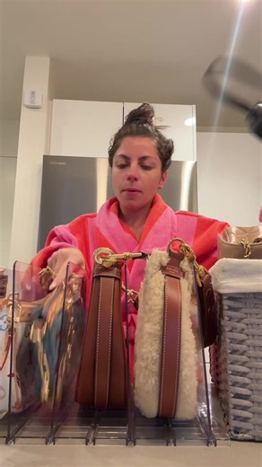 Creative Bag Organizer Ideas for Home Organization