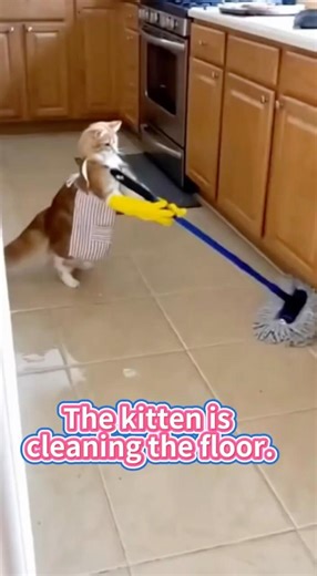 Coke Explosion vs Cleaning Cat 😂 Total Chaos