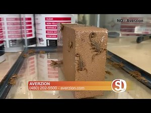 Got scorpions? Find out how to keep them out of your home without pesticides