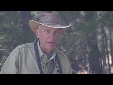 Training Duck Hunting Dogs to Fetch Live Birds | Ducks Unlimited Waterfowl Hunting Tips