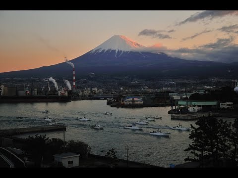 【静岡県富士市】田子の浦しらすの美味しさのヒミツに迫る！しらす漁に密着✨