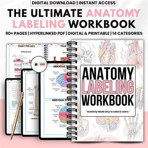Anatomy Labeling Workbook PDF | Human Body Systems Study Guide | Skeleton & Organ Labeling Practice | Medical Student Resource - Etsy