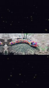 PATTERN*** Candy Rope Snake - Beginner Friendly, No Sew, Photo Tutorial Pattern. - Etsy Canada