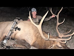 My Public Land New Mexico Archery Elk!