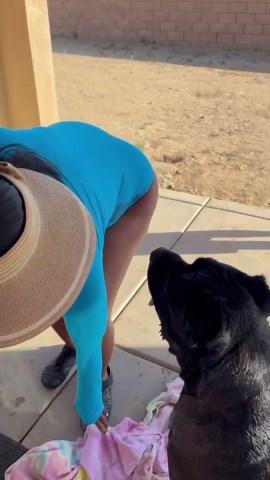 Dog acts like a mischievous kid with no shame at all