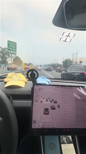 🌫️ Sia’s “Chandelier” Cover Hits Different When You’re Driving Through Traffic on a Hazy Day 🚗🎶