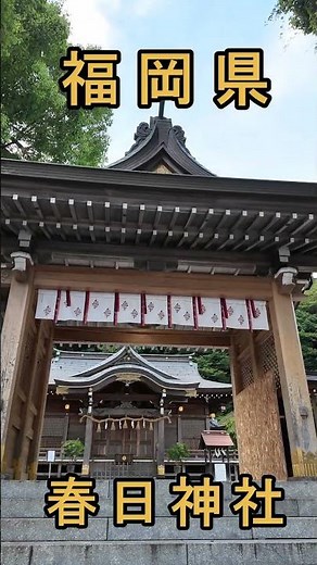 [Fukuoka Tourism] The Origin of Kasuga City's Name! Visiting the Historic "Kasuga Shrine"⛩️