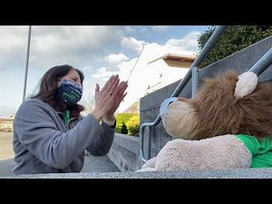 Rhythmic Partner Clapping