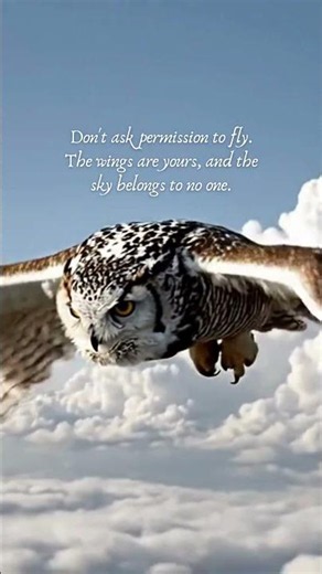 You Have The POWER To Soar Through The Sky #motivation
