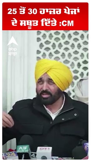 CM Mann | Sri Akal Takht Sahib25 ਤੋਂ 30 ਹਾਜ਼ਰ ਪੇਜਾਂ ਦੇ ਸਬੂਤ ਦਿੱਤੇ :CM