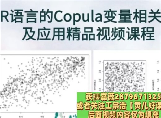 基于R语言的Copula变量相关性分析及应用精品视频课程