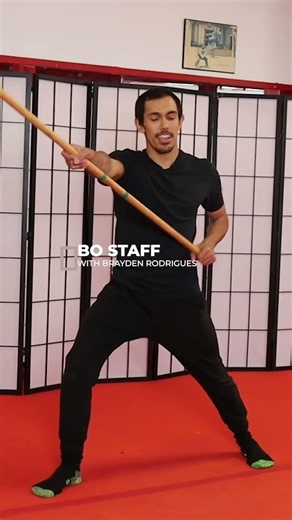 30 lessons of Capoeira fundamentals and tricks. Wushu broadsword and staff with Shifu Chongwei and Y