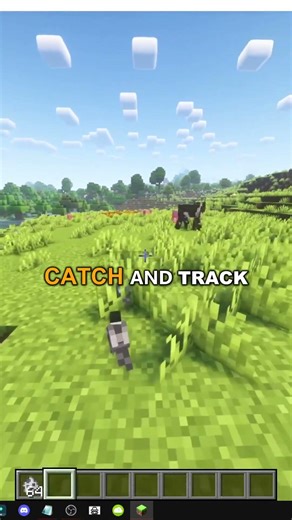 HOW TO FIND THE CHICKADEE IN MINECRAFT FOWL PLAY