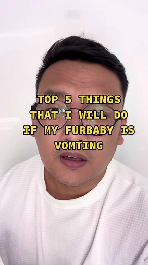 5 Things to Do When Your Furbaby is Vomiting