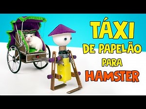 Robô Andante DIY com Carruagem Para Um Hamster 🐹