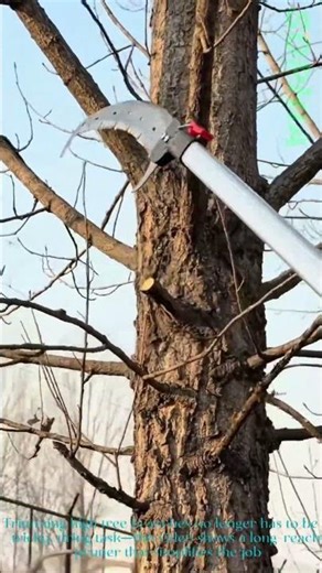 This Long Reach Pruner Makes High Branch Trimming So Easy!