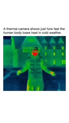 Daily Joy USA 🇺🇸 on Instagram: "This thermal imaging footage shows how fast the human body loses heat in freezing outdoor conditions. A bundled figure glows red on the face and hands, but as layers come off, warm colors fade to icy blues within seconds. The core stays protected while extremities rapidly cool through vasoconstriction, the body’s natural survival response. From steamy breath clouds to fingers turning cold, this mind-blowing visual proves just how quickly cold attacks exposed ski