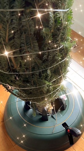 Tanya | Decor, DIY & Thrifting on Instagram: "Tree stand so nice, I bought it twice!⁣ ⁣ I love this Christmas tree stand because it’s quick and easy - one person can set up a tree alone! Plus it holds the tree very securely and has a huge water reservoir, which reduces the likelihood of a tree drying out (which is a fire risk).⁣ ⁣ Find it in my stories today and also in my bio!⁣ ⁣ #treestand #treestands #christmastrees #christmastreestand #christmasmusthave #christmastreedecorating #christmastre