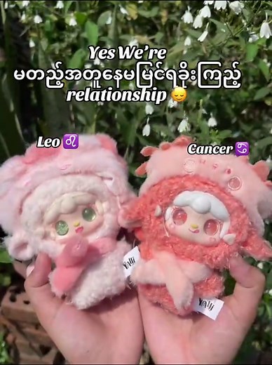 Cancer and Leo Relationship Insights
