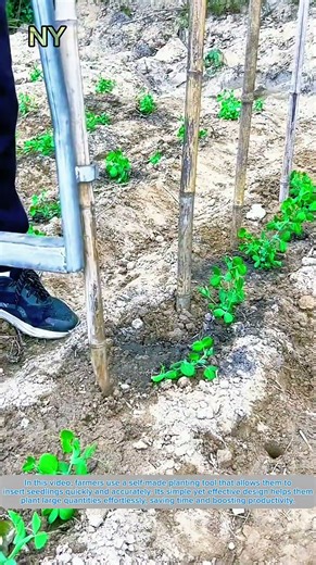 Farmers’ DIY Tool for Ultra-Fast Seedling Planting.