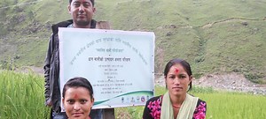 Local treasures: Nepal’s mountain crops drive biodiversity and economic growth