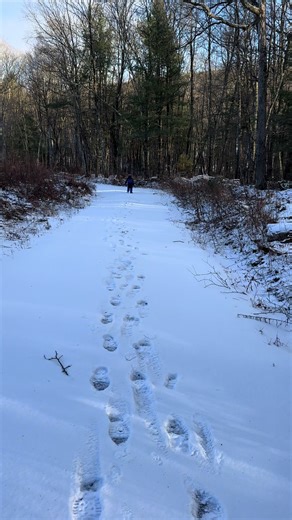 #hiking #scouting #outdoors
