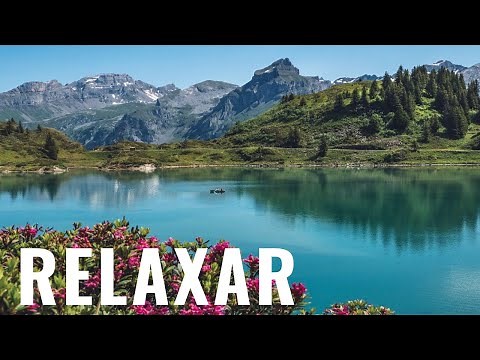 5 Horas de Música Relaxante - Som de Água Corrente, Pássaros. Relaxar, Acalmar e Dormir