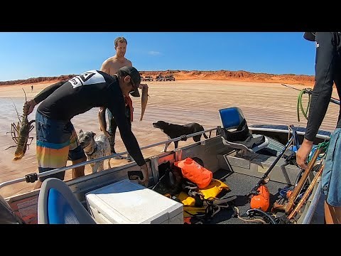 CRAYFISH CATCH AND COOK | TINNY MISSION | DIVING | SPEARFISHING plus how to clean and cook crayfish.