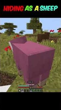 Hiding and seek challenge #trendingshorts #shorts